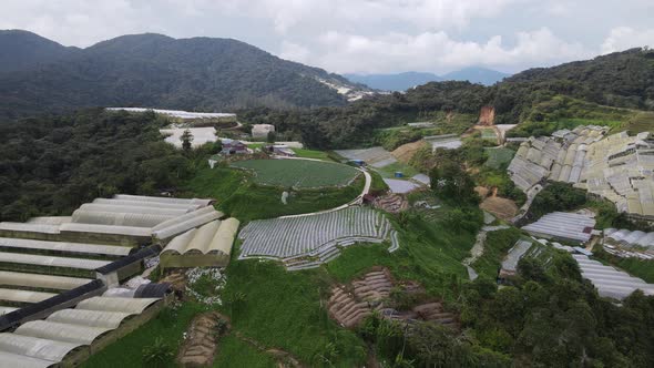 Cameron Highlands, Pahang Malaysia