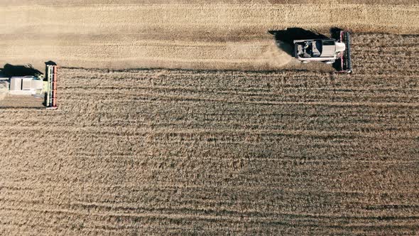 Rye Is Getting Mechanically Harvested in Straight Lines in a Top View