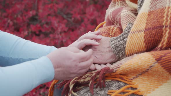 Female Hands Take the Hands of an Elderly Woman Who Sits in a Plaid Against the Backdrop of an