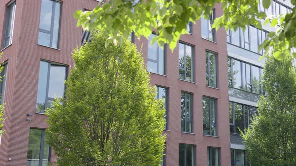 An Office Building in an Urban Area on a Sunny Day - Trees in the Foreground