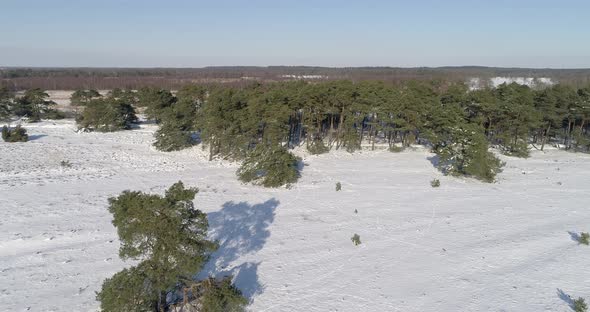 Aerial view of snow in forest of De Borkeld, Markelo, Overijssel, Netherlands.