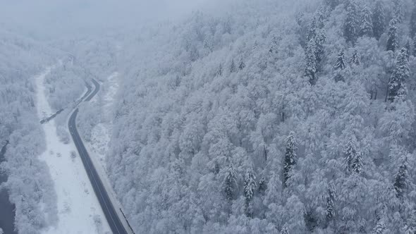 Aerial shot: cars and trucks are driving by the road in winter forest.