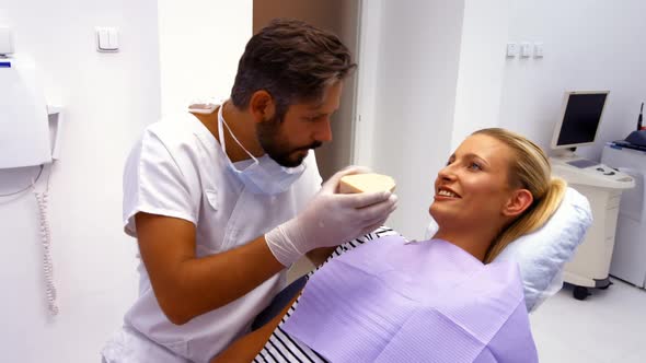Dentist showing model teeth to female patient