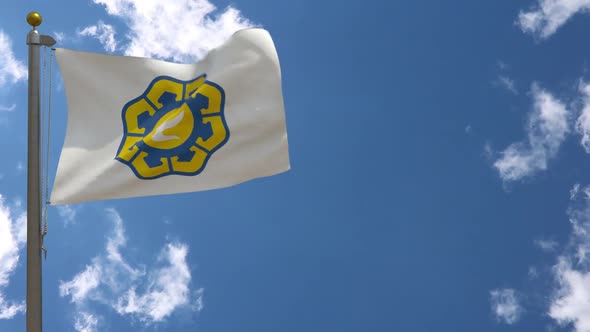 Nicosia City Flag (Cyprus) On Flagpole