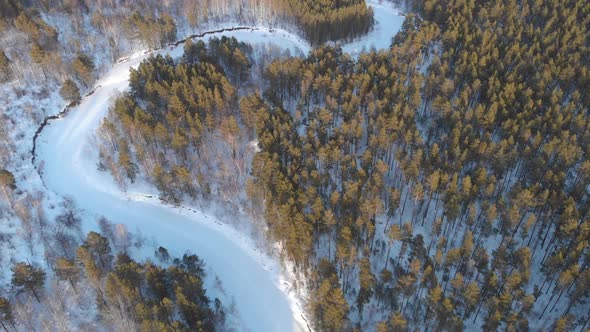 Aerial  Shot of Beautiful Winter Forest