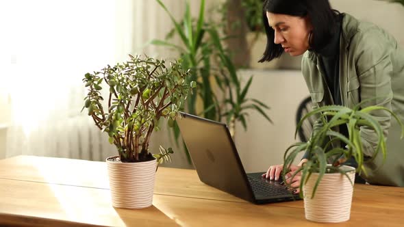 Woman browsing information about houseplant, female use laptop