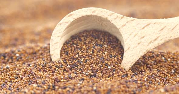 Brown Raw Canihua in Wooden Spoon Close Up, South American Grain