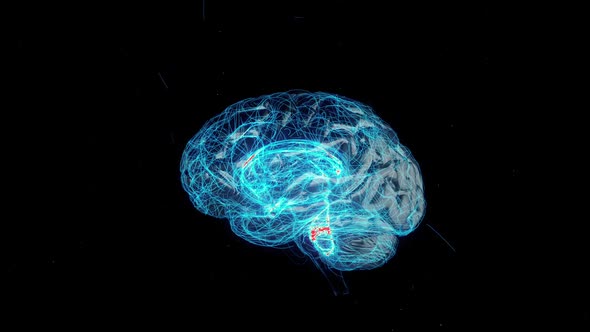 Digital Technology of a Human Brain alt