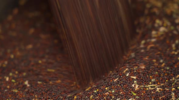 Sorting and cleaning of flax grain from the conveyor