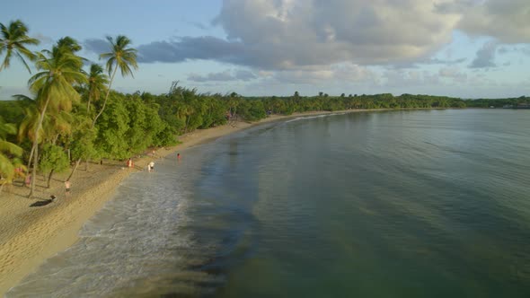 Aerial of green palm trees on coastline of a beautiful sea