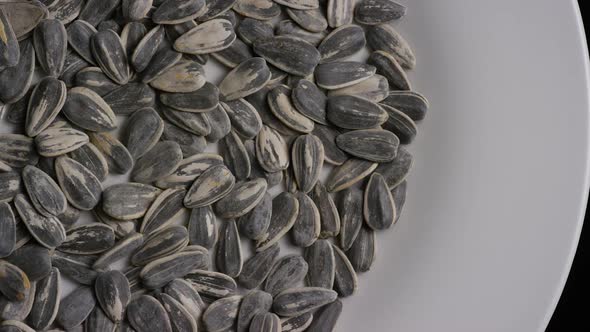 Cinematic, rotating shot of sunflower seeds on a white surface - SUNFLOWER SEEDS 002