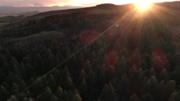 Sun peaking over mountains while flying over pine tree forest
