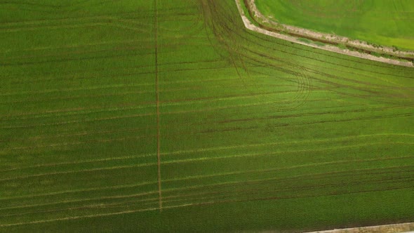 Rice Paddies Agriculture Farm Field