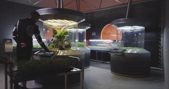 Astrobiologists Working with Plant Incubators