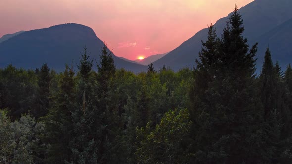 Mountain sunset behind trees reveal