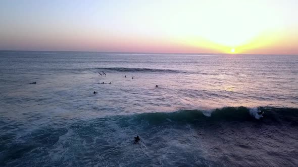 slow motion of pelicans flying over surfer waves. Marvelous aerial view flight fly backwards drone f