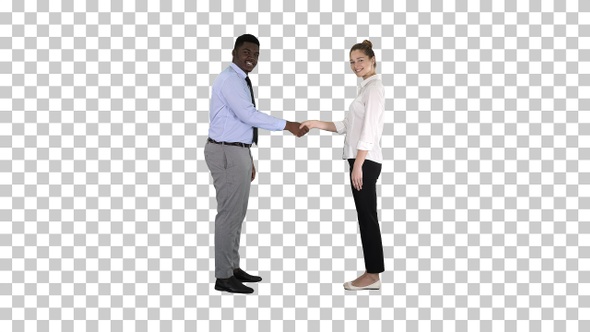 Handshake of Business Woman and Business Man Posing for The