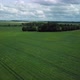 Aerial shot above a green field 4K - VideoHive Item for Sale