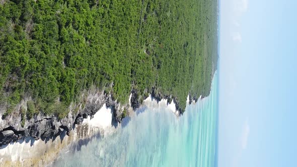 Zanzibar Tanzania  Coast of Island Covered with Thickets Slow Motion