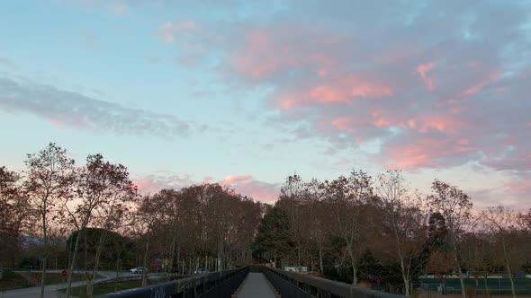 Tranquil forest scenery with walk bridge and stunning sunset colors on clouds