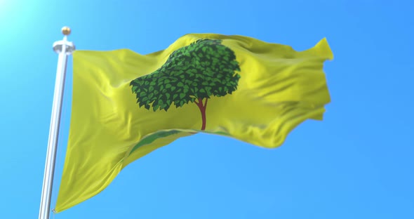 Lipetsk Flag, Russia