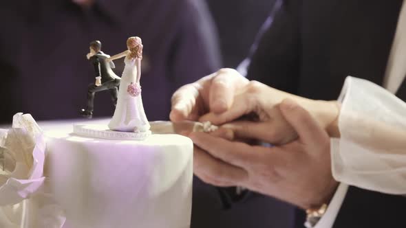 Bride And Groom Cutting Their Wedding Cake. Close-up View.