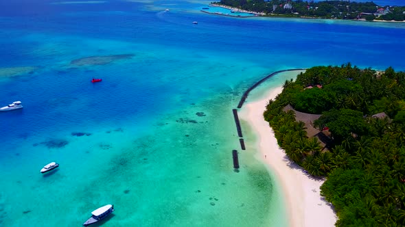 Aerial drone seascape of lagoon beach wildlife by blue water and sand background