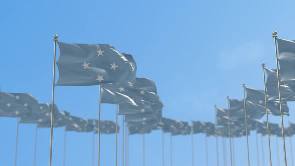 Micronesia Federated States Row Of Flags 3D Animation