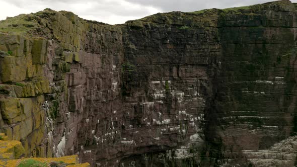 A slow panning shot of a seabird colony on a dramatic, sheer sea cliff as turquoise green waves cras