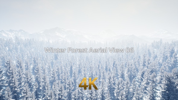 Winter Forest Aerial View 4K 06