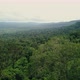 Aerial View of Forest in Asia 4K - VideoHive Item for Sale
