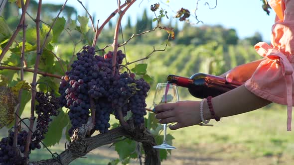 Pouring Red Wine Into a Glass in Autumn Tuscany