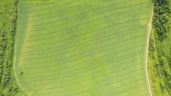 Aerial view of green agriculture fields in spring with fresh vegetation after seeding season