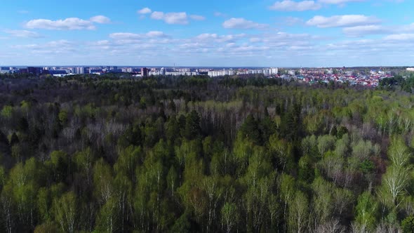 Flying Above the Green Forest in Cloudy Day