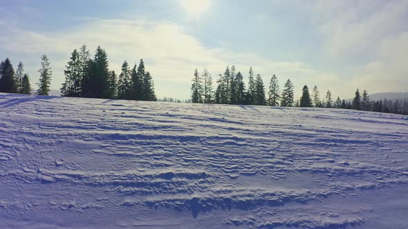 Mountain Slopes Covered with Lush Christmas Trees and Snowwhite Snow with a Place for Skiing