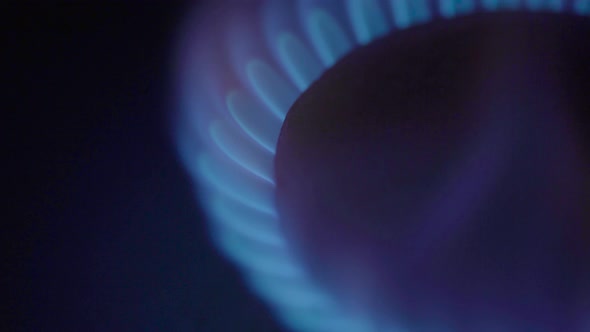 Close-up of a Fire in a Gas Stoker on a Gas Stove