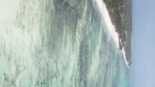 Zanzibar Tanzania  Vertical Video of the Ocean Near the Coast Slow Motion