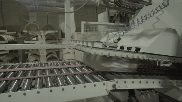 A Working Conveyor in a Paper Mill. Technology. Factory. Kyiv. Ukraine