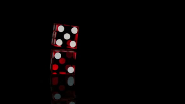 Dice bouncing on black surface, Slow Motion