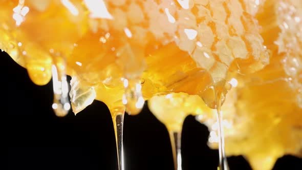 Golden Fresh Honey is Dripping From Honeycomb