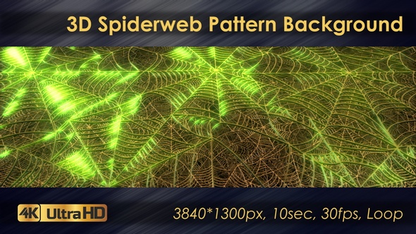 3D Spiderweb Pattern Background