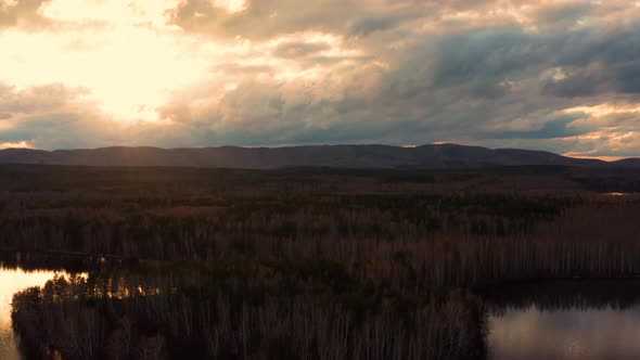 Aerial View of the Natural Landscape Forest on the Lake Shore at Sunset