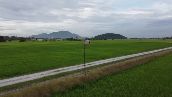 Aerial view bird house at paddy field