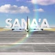 Commercial Airplane Landing Capitals And Cities   Sanaa - VideoHive Item for Sale