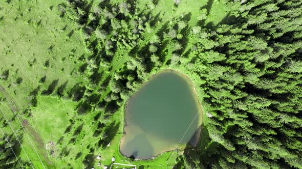 Alpin Lake in Summer Time Surrounded By Beautiful Forest Overhead Downward Aerial View