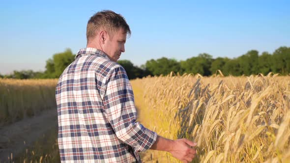 Man Farmer on Barley Field