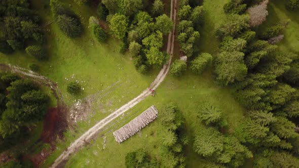 Drone top shot of a natural trail next to a fir forest. swiss alps