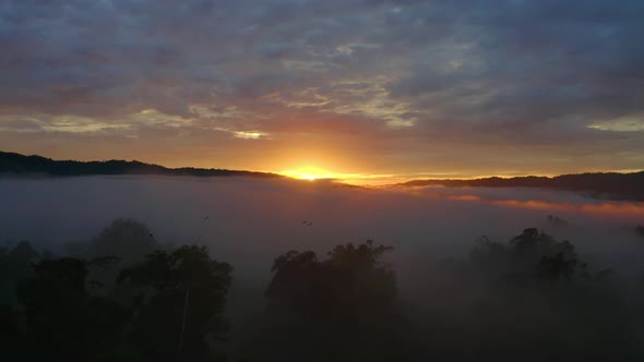 Stunning aerial view during sunrise with orange colored sky in tropical forest