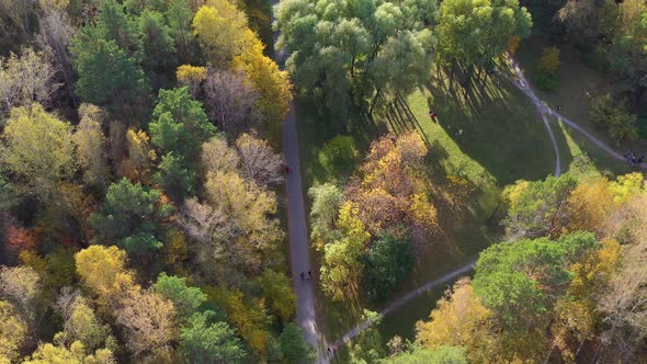 People Walk in the Park on a Warm Autumn Day