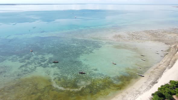 Boats in the Ocean Near the Coast of Zanzibar Tanzania